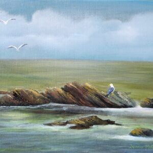 skerries gull 10x12 oil painting by Donna McGee